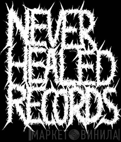 Never Healed - Винил CD и Кассеты лейбла Never Healed на сайте МаркетВинила