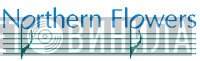 Northern Flowers - Винил CD и Кассеты лейбла Northern Flowers на сайте МаркетВинила