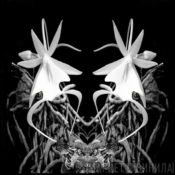 Orchidé Records - Винил CD и Кассеты лейбла Orchidé Records на сайте МаркетВинила