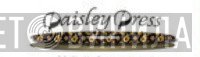 Paisley Press - Винил CD и Кассеты лейбла Paisley Press на сайте МаркетВинила