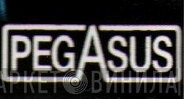 Pegasus  - Винил CD и Кассеты лейбла Pegasus (9) на сайте МаркетВинила