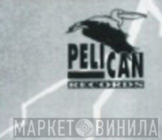 Pelican Records  - Винил CD и Кассеты лейбла Pelican Records (6) на сайте МаркетВинила