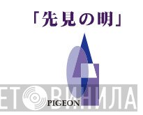 Pigeon  - Винил CD и Кассеты лейбла Pigeon (2) на сайте МаркетВинила