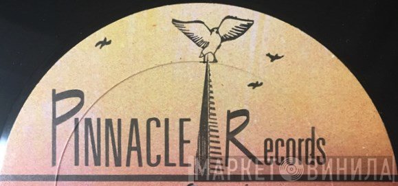 Pinnacle Records  - Винил CD и Кассеты лейбла Pinnacle Records (7) на сайте МаркетВинила
