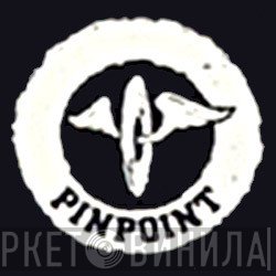 Pinpoint Records - Винил CD и Кассеты лейбла Pinpoint Records на сайте МаркетВинила