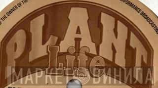 Plant Life - Винил CD и Кассеты лейбла Plant Life на сайте МаркетВинила