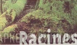 Racines - Винил CD и Кассеты лейбла Racines на сайте МаркетВинила