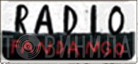 Radiofandango - Винил CD и Кассеты лейбла Radiofandango на сайте МаркетВинила