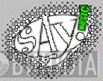 Say Music Inc. - Винил CD и Кассеты лейбла Say Music Inc. на сайте МаркетВинила