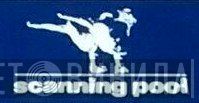 Scanning Pool - Винил CD и Кассеты лейбла Scanning Pool на сайте МаркетВинила