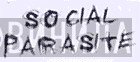 Social Parasite - Винил CD и Кассеты лейбла Social Parasite на сайте МаркетВинила