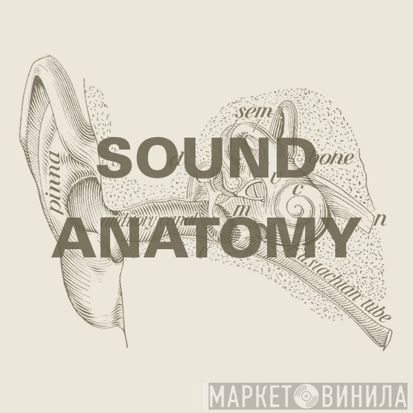 Sound Anatomy - Винил CD и Кассеты лейбла Sound Anatomy на сайте МаркетВинила