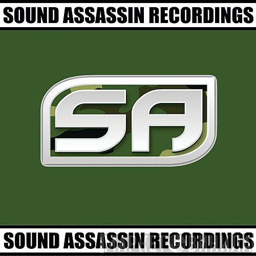 Sound Assassin Recordings - Винил CD и Кассеты лейбла Sound Assassin Recordings на сайте МаркетВинила