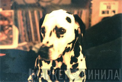 Spotty Dog Records - Винил CD и Кассеты лейбла Spotty Dog Records на сайте МаркетВинила