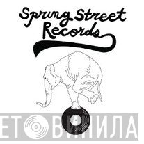 Spring Street Records - Винил CD и Кассеты лейбла Spring Street Records на сайте МаркетВинила