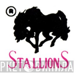Stallions - Винил CD и Кассеты лейбла Stallions на сайте МаркетВинила