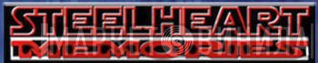 Steelheart Memories - Винил CD и Кассеты лейбла Steelheart Memories на сайте МаркетВинила