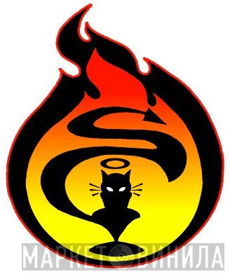 Supernatural Cat - Винил CD и Кассеты лейбла Supernatural Cat на сайте МаркетВинила