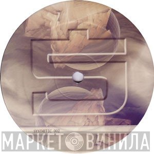 Synthetic Rec - Винил CD и Кассеты лейбла Synthetic Rec на сайте МаркетВинила