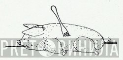 The Genuine Pig - Винил CD и Кассеты лейбла The Genuine Pig на сайте МаркетВинила