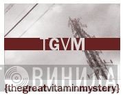 The Great Vitamin Mystery - Винил CD и Кассеты лейбла The Great Vitamin Mystery на сайте МаркетВинила