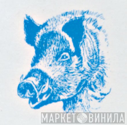 The Welfare Pig - Винил CD и Кассеты лейбла The Welfare Pig на сайте МаркетВинила