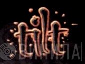 Tilt Records  - Винил CD и Кассеты лейбла Tilt Records (10) на сайте МаркетВинила