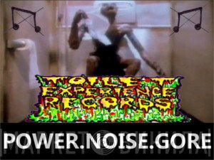 Toilet Experience Records - Винил CD и Кассеты лейбла Toilet Experience Records на сайте МаркетВинила