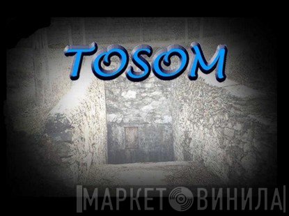 Tosom - Винил CD и Кассеты лейбла Tosom на сайте МаркетВинила