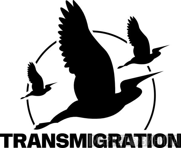 Transmigration - Винил CD и Кассеты лейбла Transmigration на сайте МаркетВинила