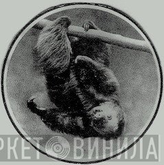 Vicious Sloth Collectables - Винил CD и Кассеты лейбла Vicious Sloth Collectables на сайте МаркетВинила