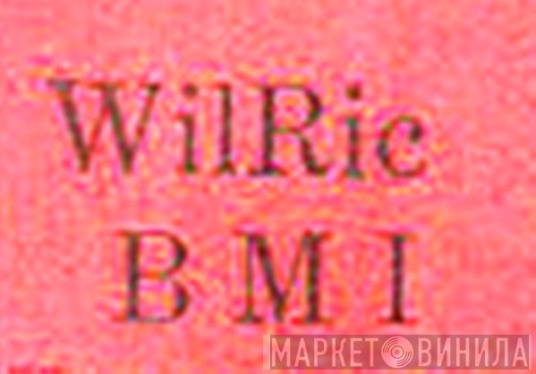WilRic - Винил CD и Кассеты лейбла WilRic на сайте МаркетВинила