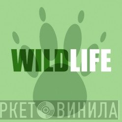 Wildlife - Винил CD и Кассеты лейбла Wildlife на сайте МаркетВинила