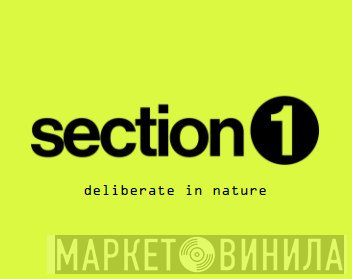 section 1  - Винил CD и Кассеты лейбла section 1 (2) на сайте МаркетВинила